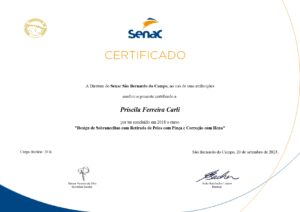 Senac Sobrancelha_PriscilaFerreiraCarli_page-0001